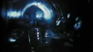 Video-Vorschaubild · Alligator