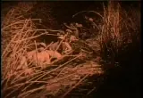 The Lost World