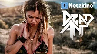 Video-Vorschaubild · Dead Ant