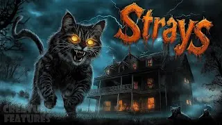 Vista previa del vídeo · Strays