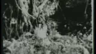 Vista previa del vídeo · Tarzan the Fearless