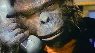 Video-Vorschaubild · Saru No Gundan