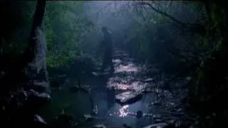 Video preview · Big Bad Wolf