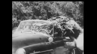 Video preview · The Creeping Terror