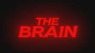 Video preview · The Brain