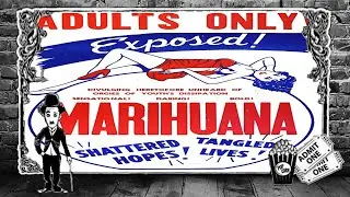 Vista previa del vídeo · Marihuana