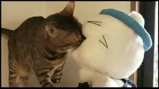 Vista previa del vídeo · Pussy Soup