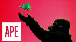 Video preview · A*P*E