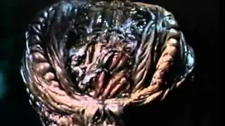 Aperçu vidéo · Spookies