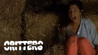 Aperçu vidéo · Critters