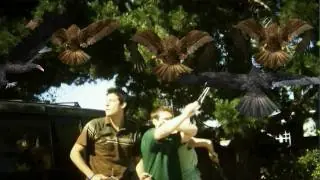Vista previa del vídeo · Birdemic: Shock and Terror